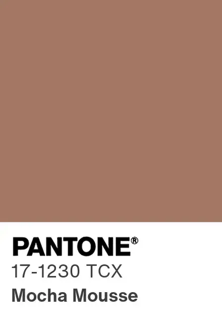 pantone 17 1230 mocha mousse swatch