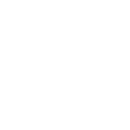 icon 11