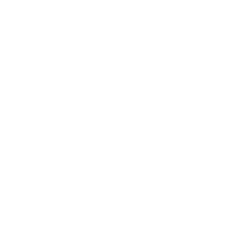 icon 5