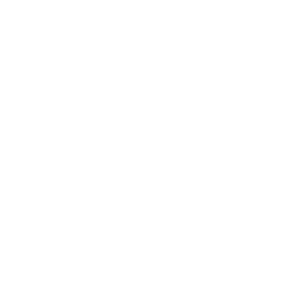 icon 7