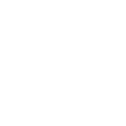 icon 8